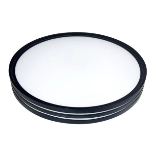 Светильник светодиодный Biom SMART SML-R41-50/2 3000-6000K 50Вт с д/у (00-00022928)